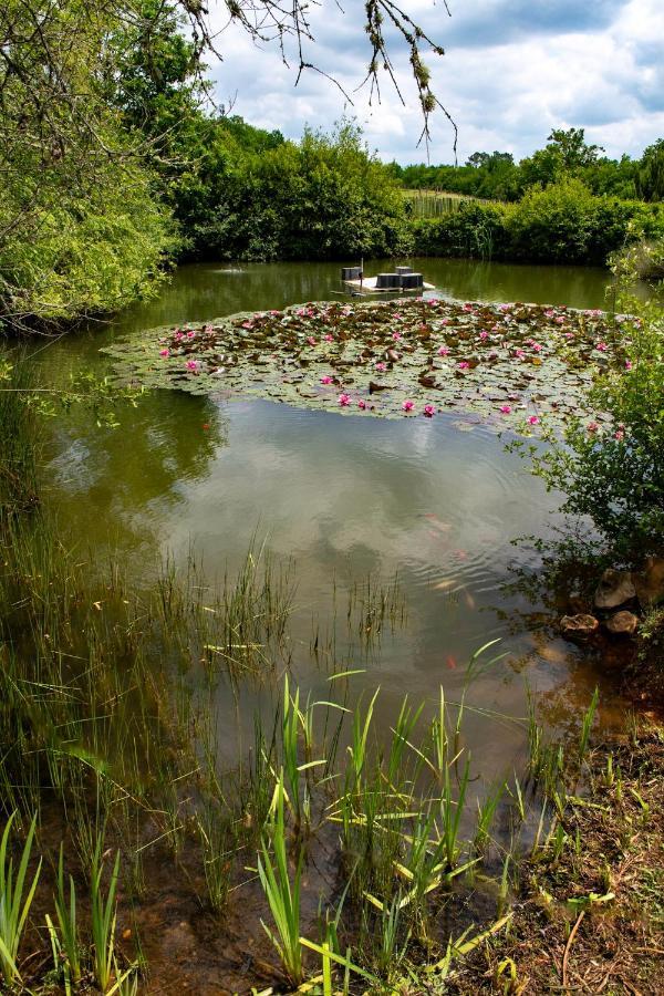 Les Gites De Juevince Issac Bagian luar foto